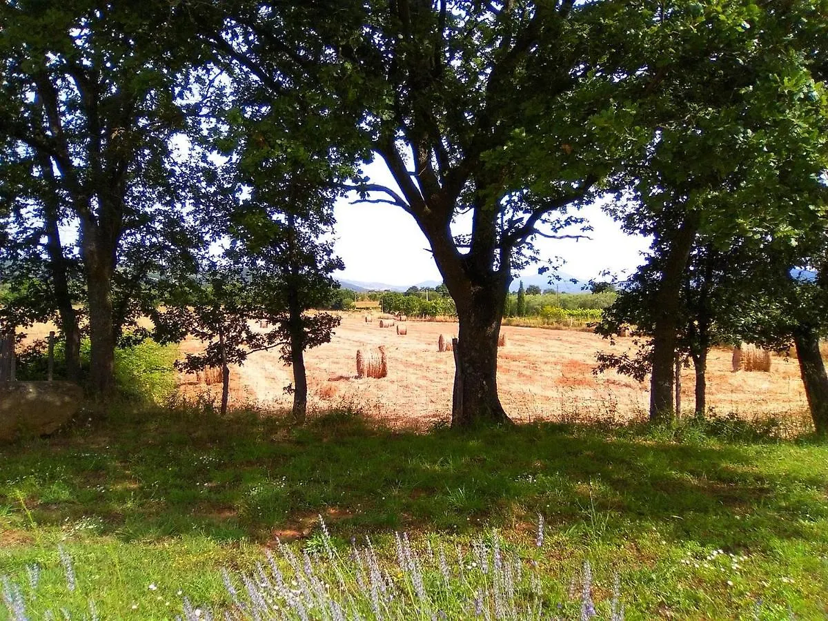 Agriturismo La Dependance Sorano  Italia