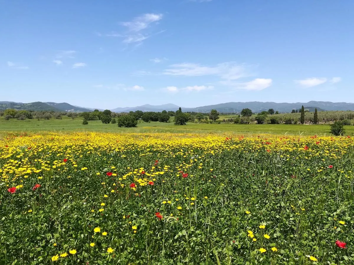 Alloggio per agriturismo Agriturismo La Dependance Sorano