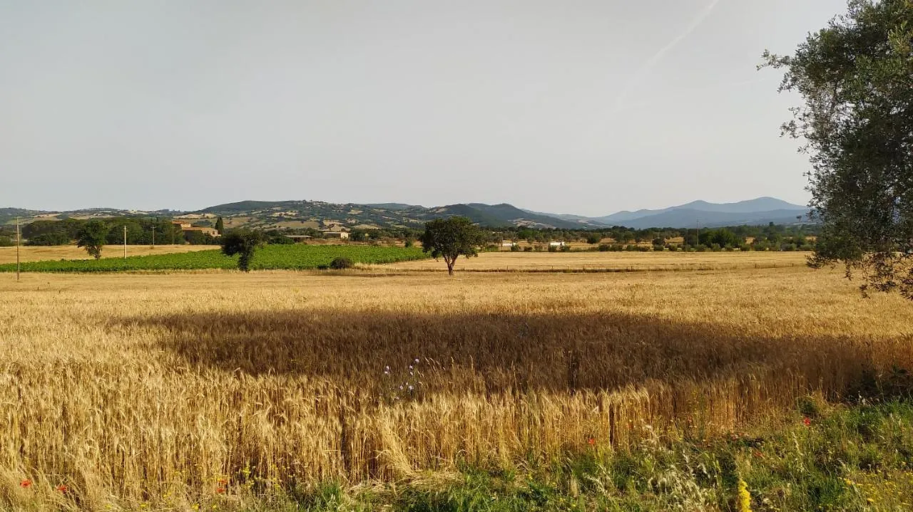 Agriturismo La Dependance Sorano  Sorano (Grosseto)
