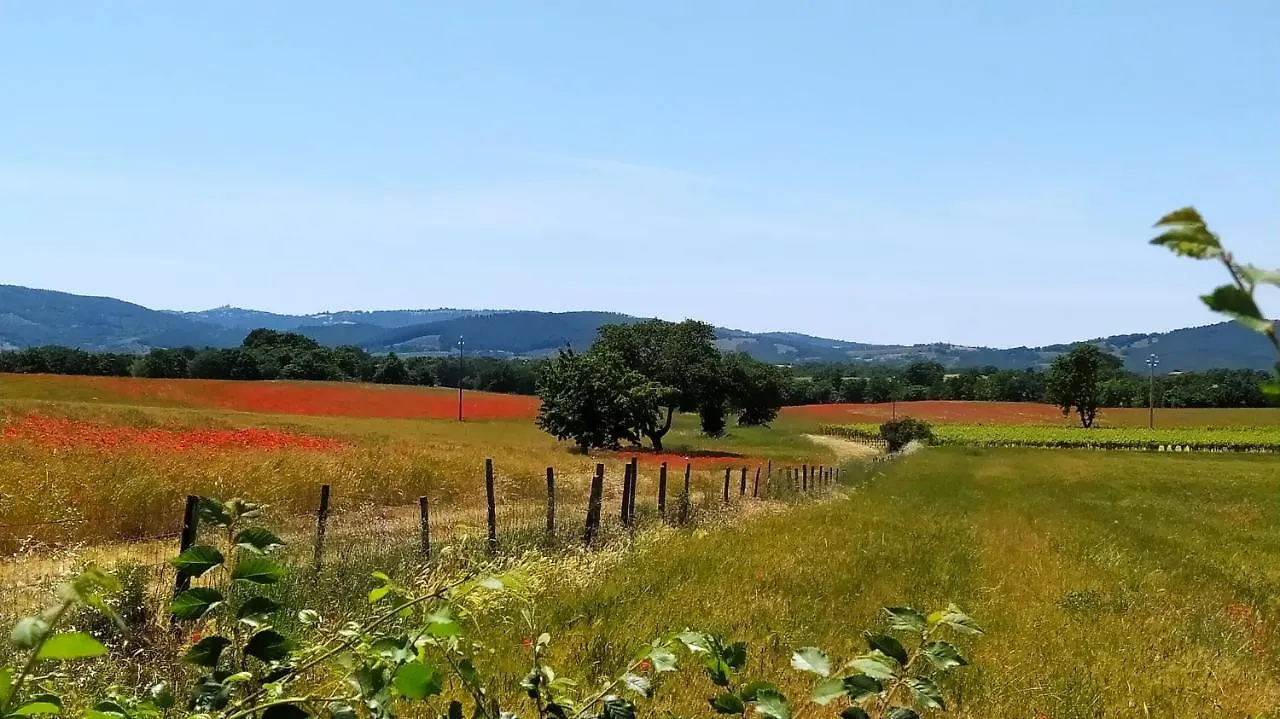 Agriturismo La Dependance Sorano  Farm stay