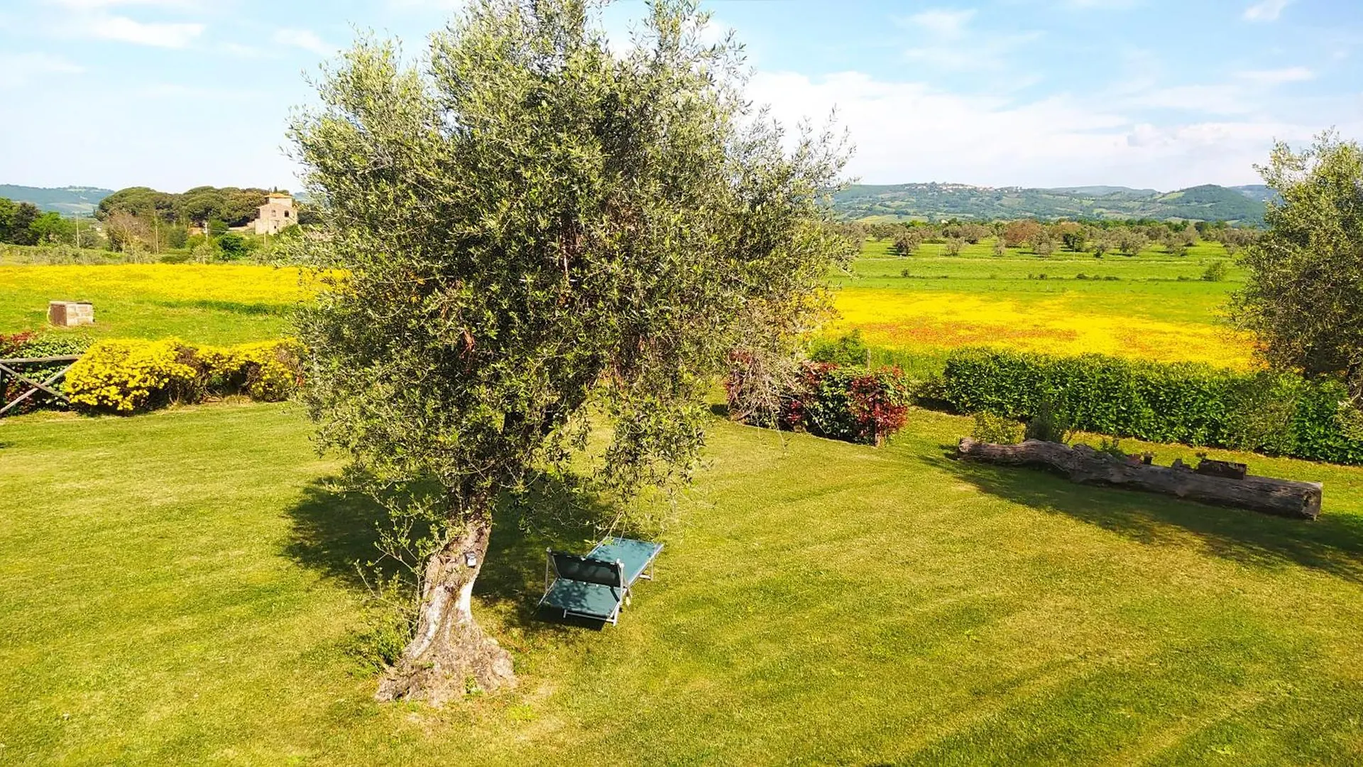 Agriturismo La Dependance Sorano  Italy